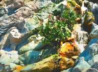 The mesmerizing Stone carvings in Fantasy Springs 