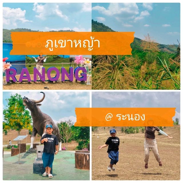 ภูเขาหญ้า @ ระนอง