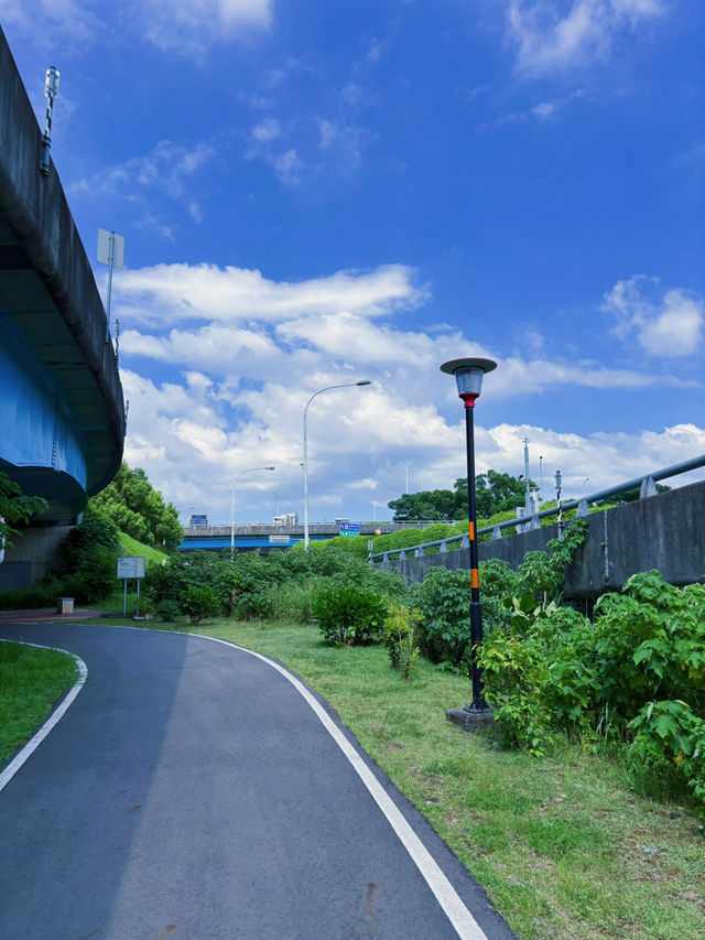 🌿桃園都市綠洲輕旅行｜茄苳溪自行車道：高架下的靜謐綠徑，漫步溪畔小秘境