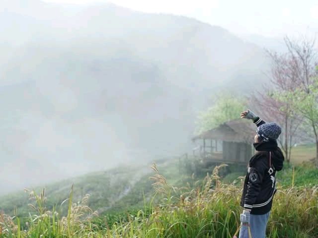 ไร่ชา2000สวยมาก