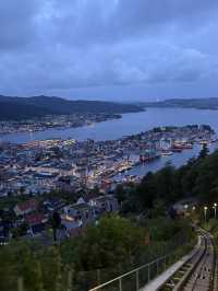 Bergen City Walk & Fjord Cruise – A Perfect Norwegian Day