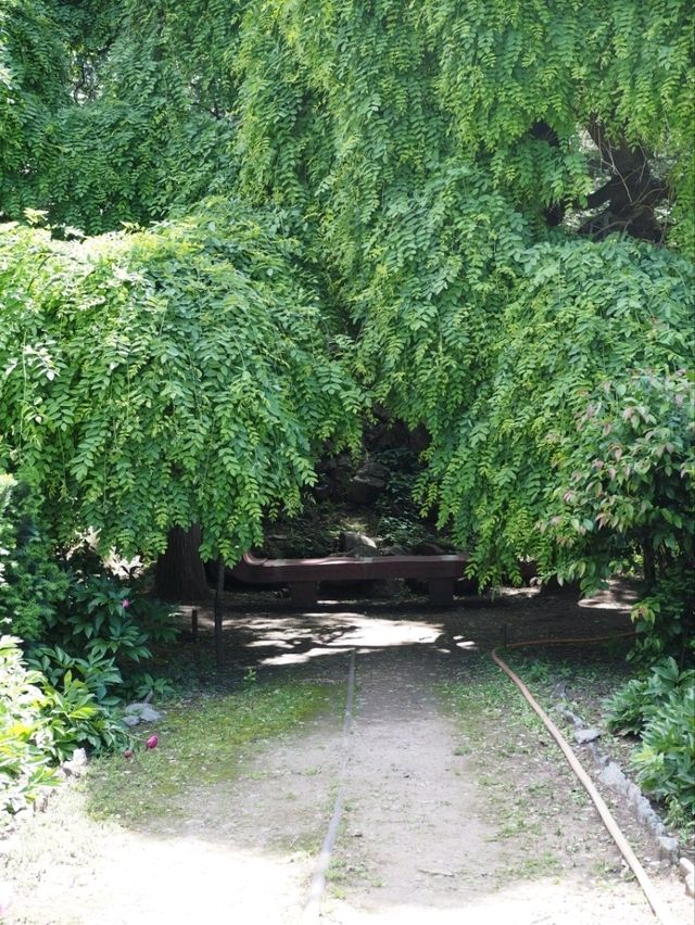 街中で自然を満喫🌲「トビリシ ボタニカルガーデン」