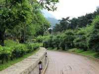 สวนหนานเหลียน (Nan Lian Garden)