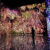 ARTE MUSEUM 釜山館：沉浸式藝術的新境界