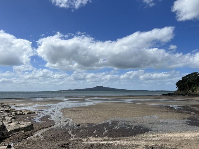 🏖 St Heliers Bay｜奧克蘭人私藏的靜謐海灣散步路線 
