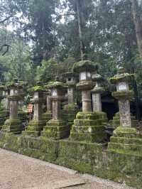 春日大社：在奈良感受神社的靈氣，探訪自然與文化的和諧交融！