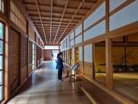 🏯나고야성에 왔다면 꼭 보고 와야하는 혼마루🏯