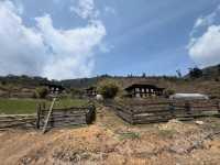 Clouds, Cranes & Walks at Phobjikha Valley Round 2