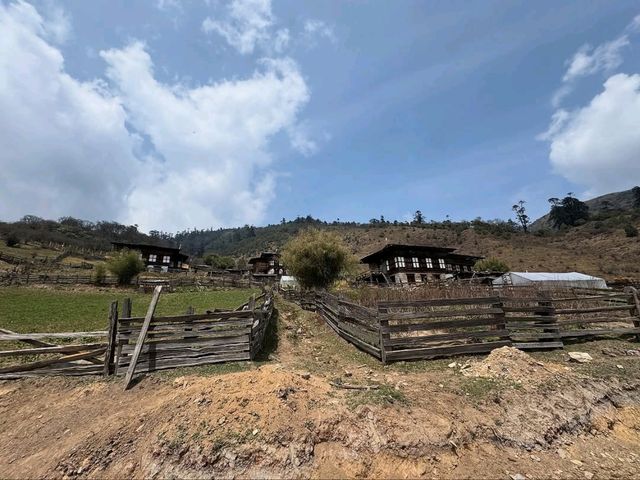 Clouds, Cranes & Walks at Phobjikha Valley Round 2