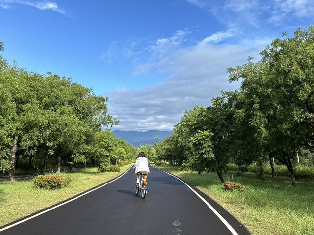 台東森林公園