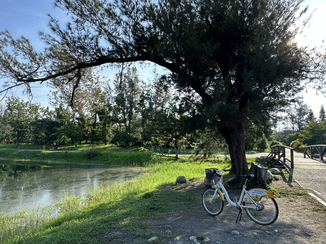 台東森林公園