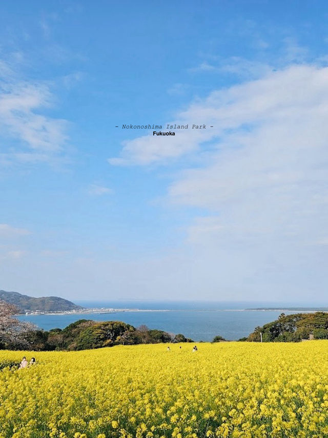 Nokonoshima Island Park| Fukuoka