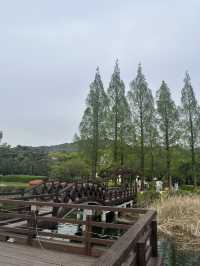 도심속 힐링 산책 명소 김해여행 김해연지공원 