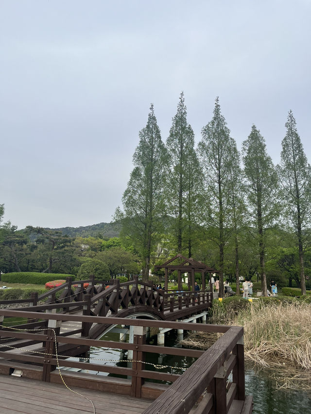도심속 힐링 산책 명소 김해여행 김해연지공원 