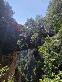 Zhangjiajie National Forest Park rocks!! 🏞