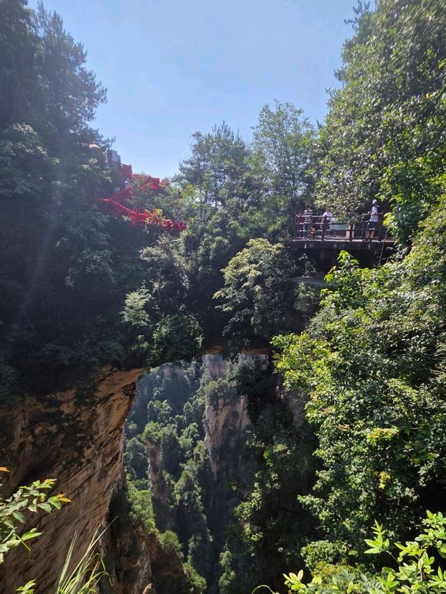 Zhangjiajie National Forest Park rocks!! 🏞
