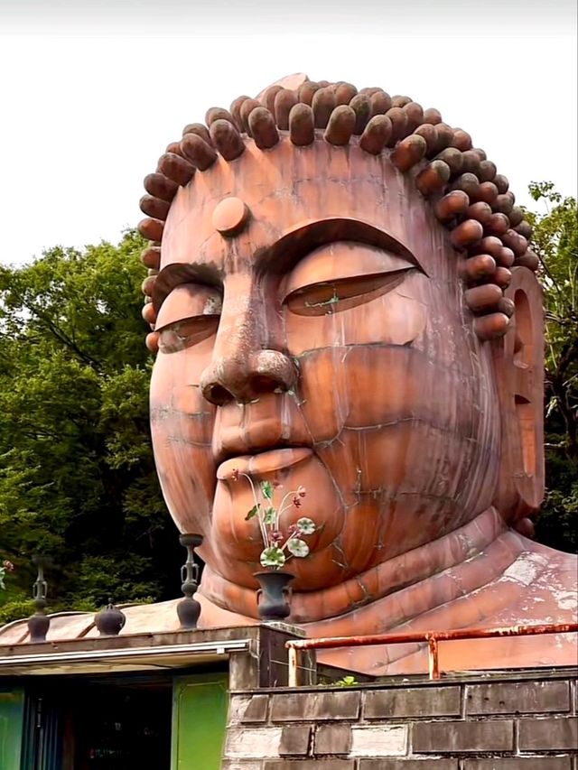 ฮานิเบะกันคุอิน วัดใต้พิภพสุดพิศวง