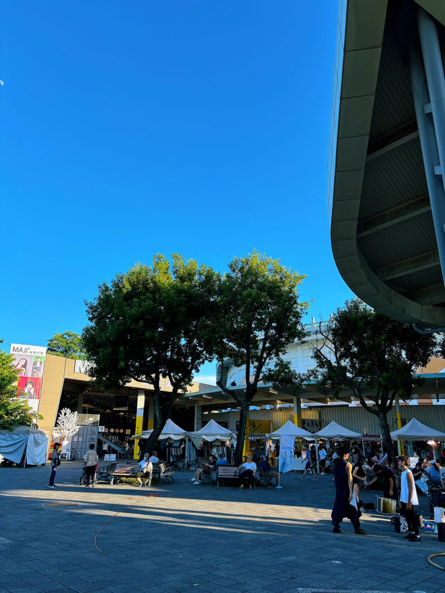 🌿在城市裡散步呼吸的浪漫時光｜台北花博園區慢旅行