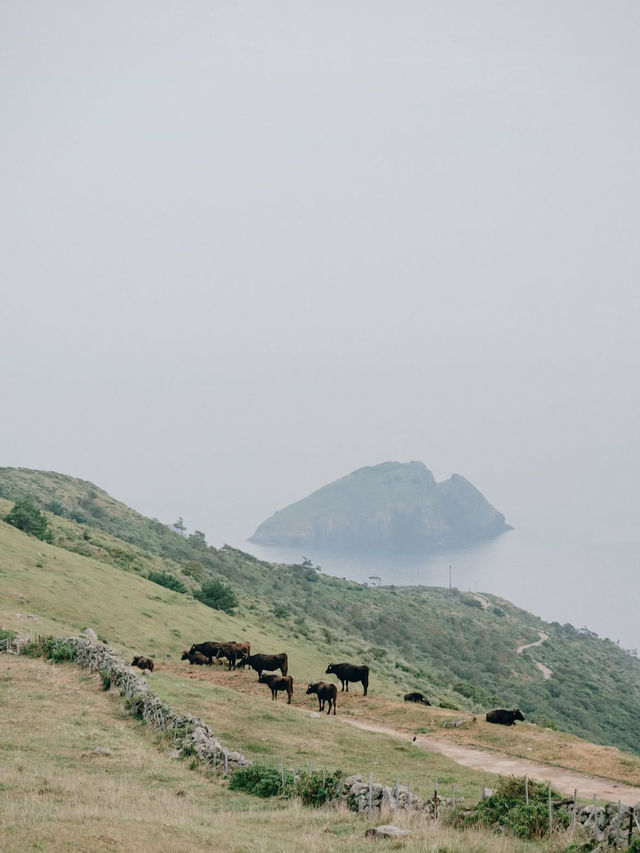 🌊島根・隠岐諸島｜神々の息づく離島で、圧倒的な自然と出会う旅へ⛴️✨