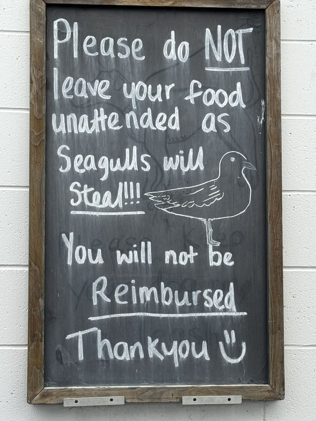 I have never been that close to a seal.