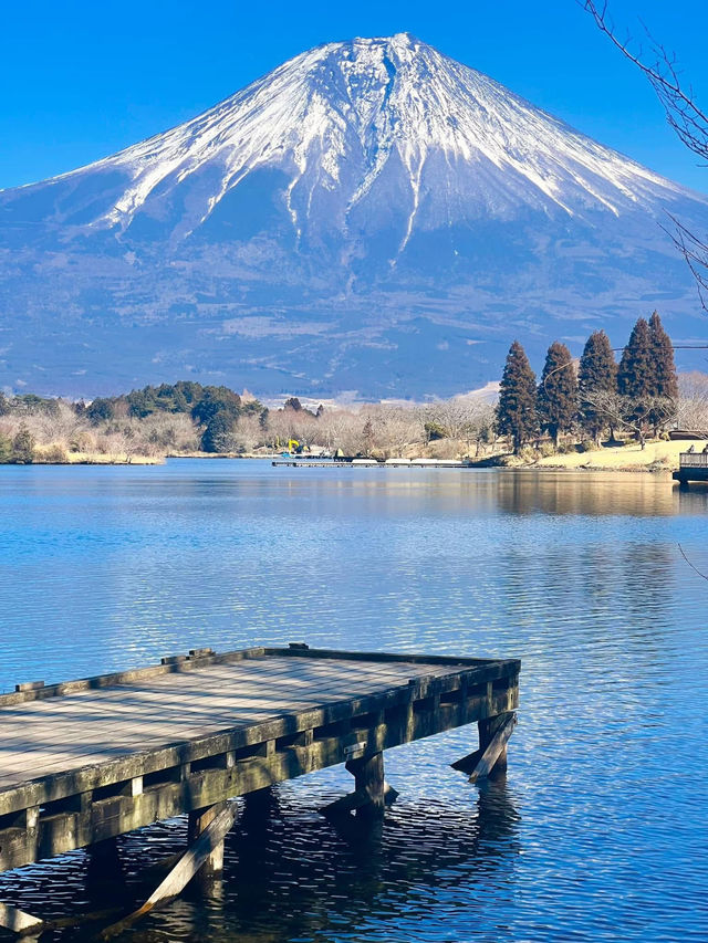 ทะเลสาบทานุกิ (Lake Tanuki)