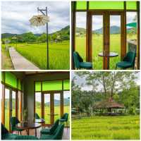 สวนพูนสุก วังเวียง