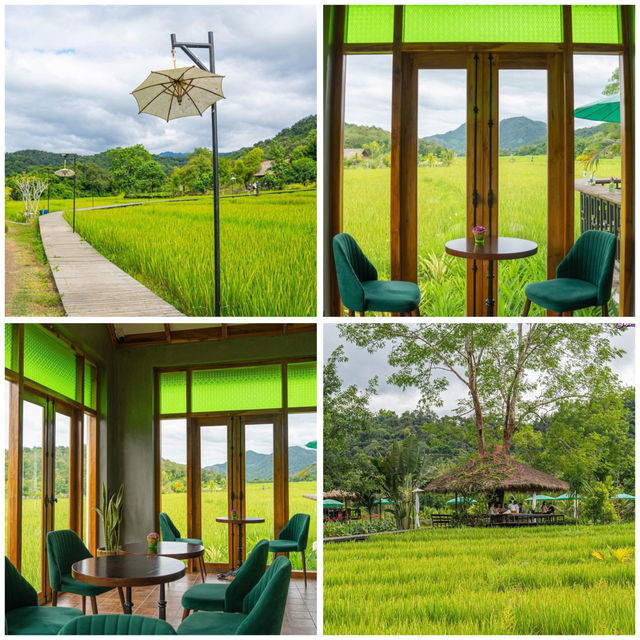 สวนพูนสุก วังเวียง