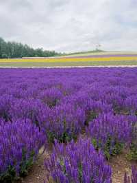 8 DAYS HOKKAIDO SELF DRIVE ROUTE