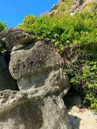 No Signal, Just Stars: A Quiet Retreat in Zambales