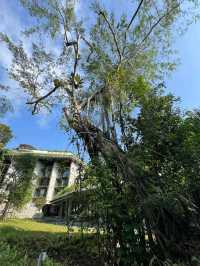 Mandai Rainforest Resort by Banyan Tree