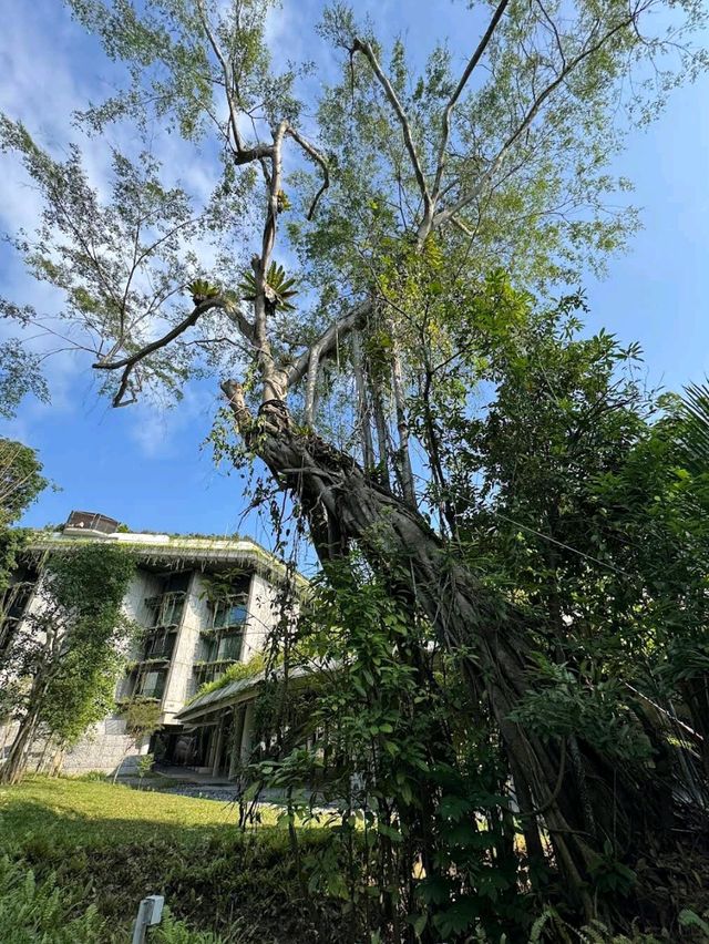 Mandai Rainforest Resort by Banyan Tree