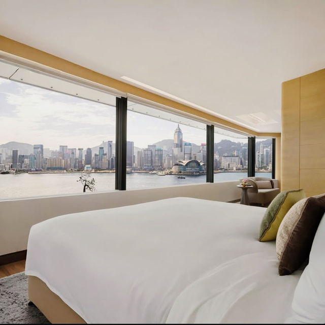 Harbour Elegance Reimagined