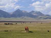 10 days Kyrgyzstan tour