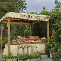 Donghouse Khaoyai — คาเฟ่บนเนินเขาวิว 360° 🌄🏡