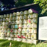 Meiji Jingu: A Tranquil Path to Tokyo’s Sacred Heart