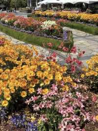 【宮崎】四季の花と光の魔法🌸フローランテ宮崎で癒しの