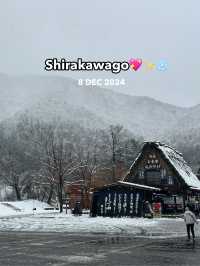 Shirakawago ลุ้นหิมะตกต้นธันวา!