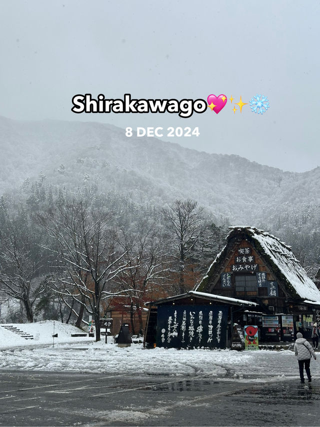 Shirakawago ลุ้นหิมะตกต้นธันวา!