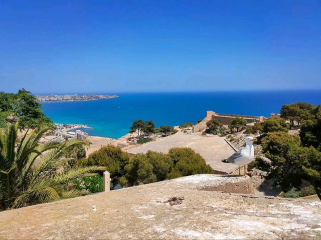 Epic Views & Castle Feels on a Hill