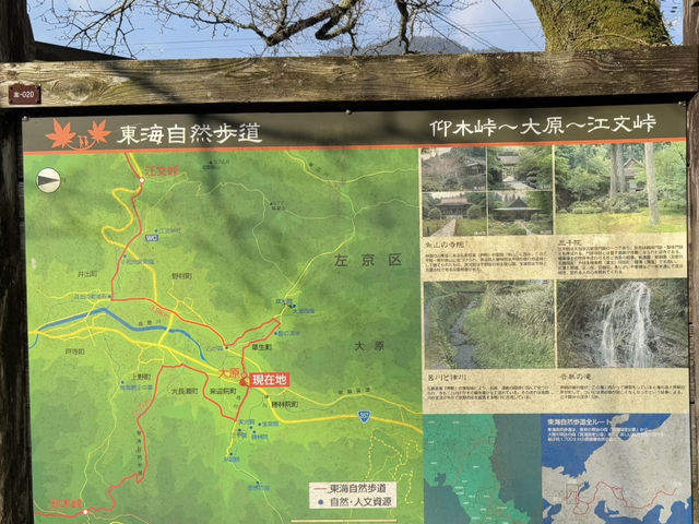 Sanzen-in Temple, Kyoto: A Serene Escape Worth Exploring! 🌸🍵