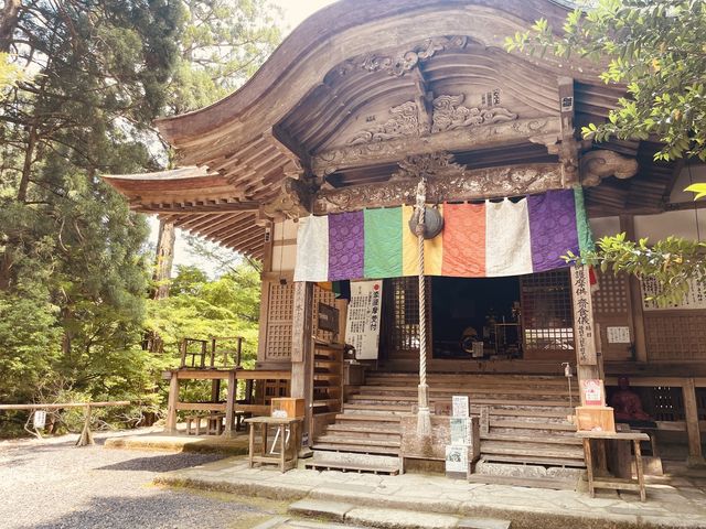 ⛩️ 絕景寺廟大挑戰！三德山三佛寺⚠️ 還有谷川天狗堂豆腐咖啡！