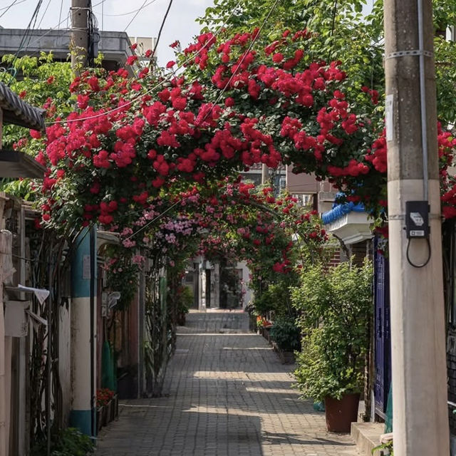 Secret Blooms in Cheonho-dong: Seoul’s Hidden Floral Alley Revealed!** 🌸📸