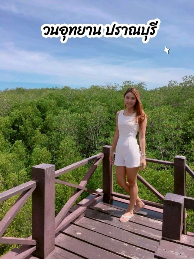 วนอุทยานปราณบุรี จ.ประจวบคีรีขันธ์