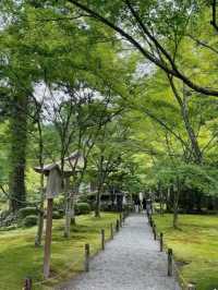 京都必去景點（八） 三千院🌳禪意之美