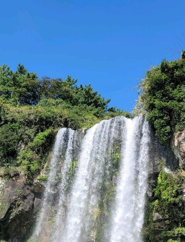 제주도 꼭 가봐야되는 곳