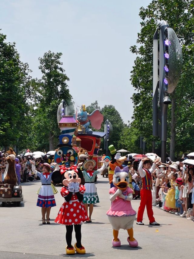 From Legends to Lanterns: Every Princess Lives Here