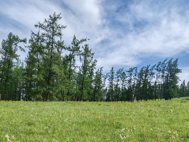 Beautiful Guanyutai: Wildflowers in Bloom