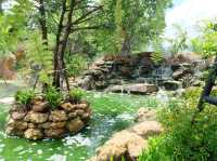 ชมนก Cafe & Restaurant🦜 คาเฟ่สำหรับคนรักนก
