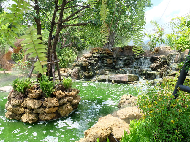 ชมนก Cafe & Restaurant🦜 คาเฟ่สำหรับคนรักนก