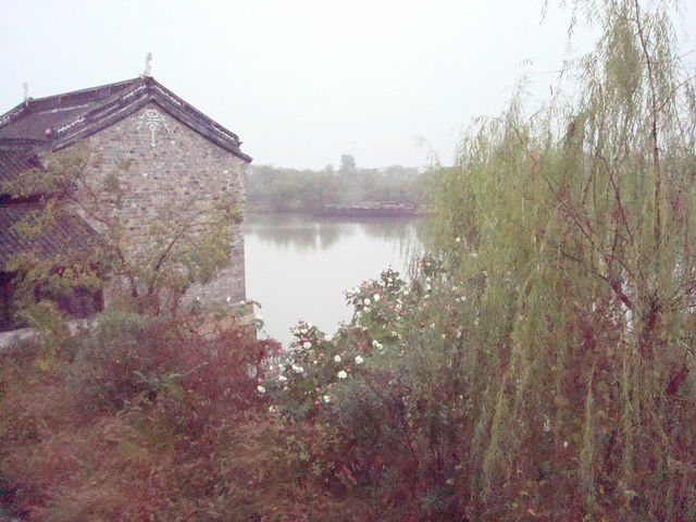 🌊 Wuzhen Dongzha — A Peaceful Walk Through Water and Time